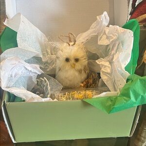 Unlisted #2 Meditation Box